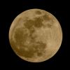 Filename=moon_02.jpg
Filesize=54KB
Dimensions=432x432
Date added=Jan 30, 2010 moon_02.jpg