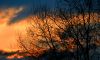 Filename=sunset_01.jpg
Filesize=195KB
Dimensions=720x432
Date added=Feb 07, 2010 sunset_01.jpg