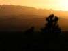 sunset_01.jpg