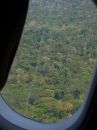 amazonia-rainforest_3.jpg