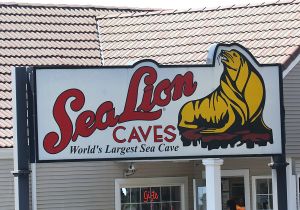 sea-lion-caves.jpg