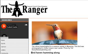 ranger-rufous-hummingbird.jpg